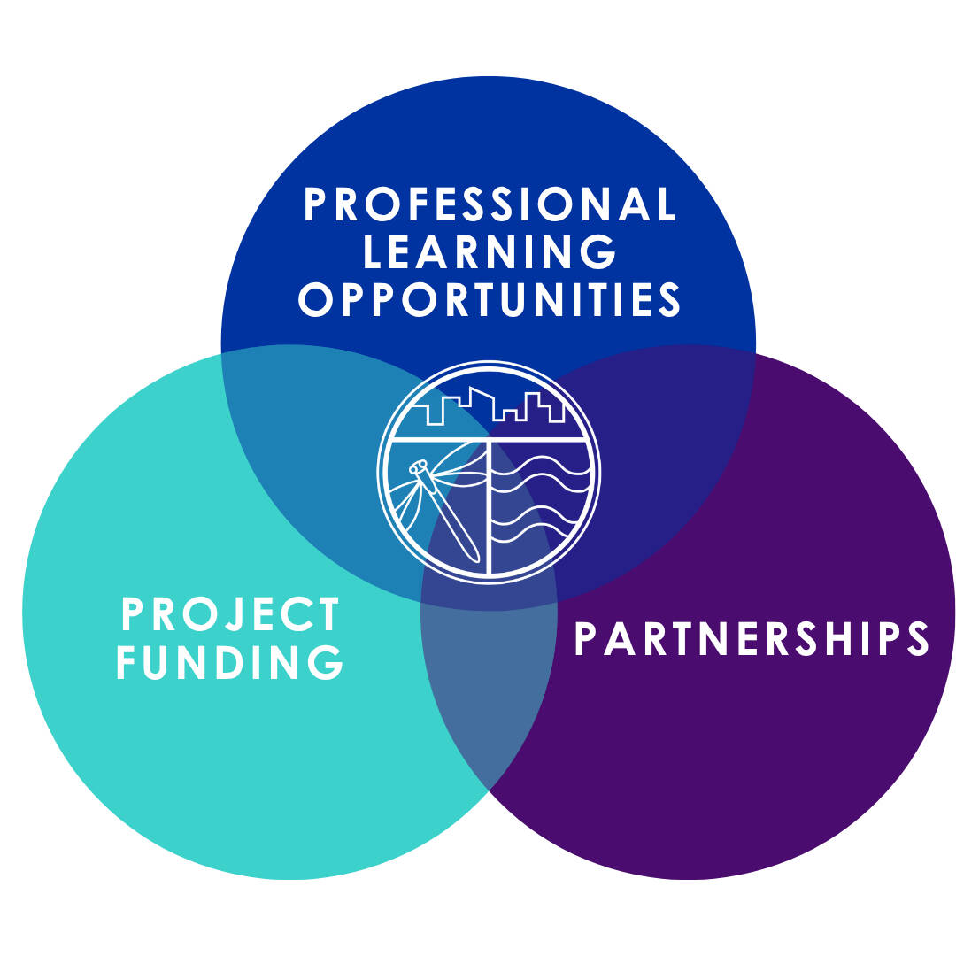 Venn diagram showing the three core areas of the Groundswell Stewardship Initiative: Professional Learning Opportunities, Project Funding, and Partnerships